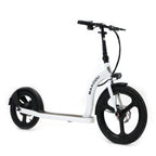 Badger Electric Scooter