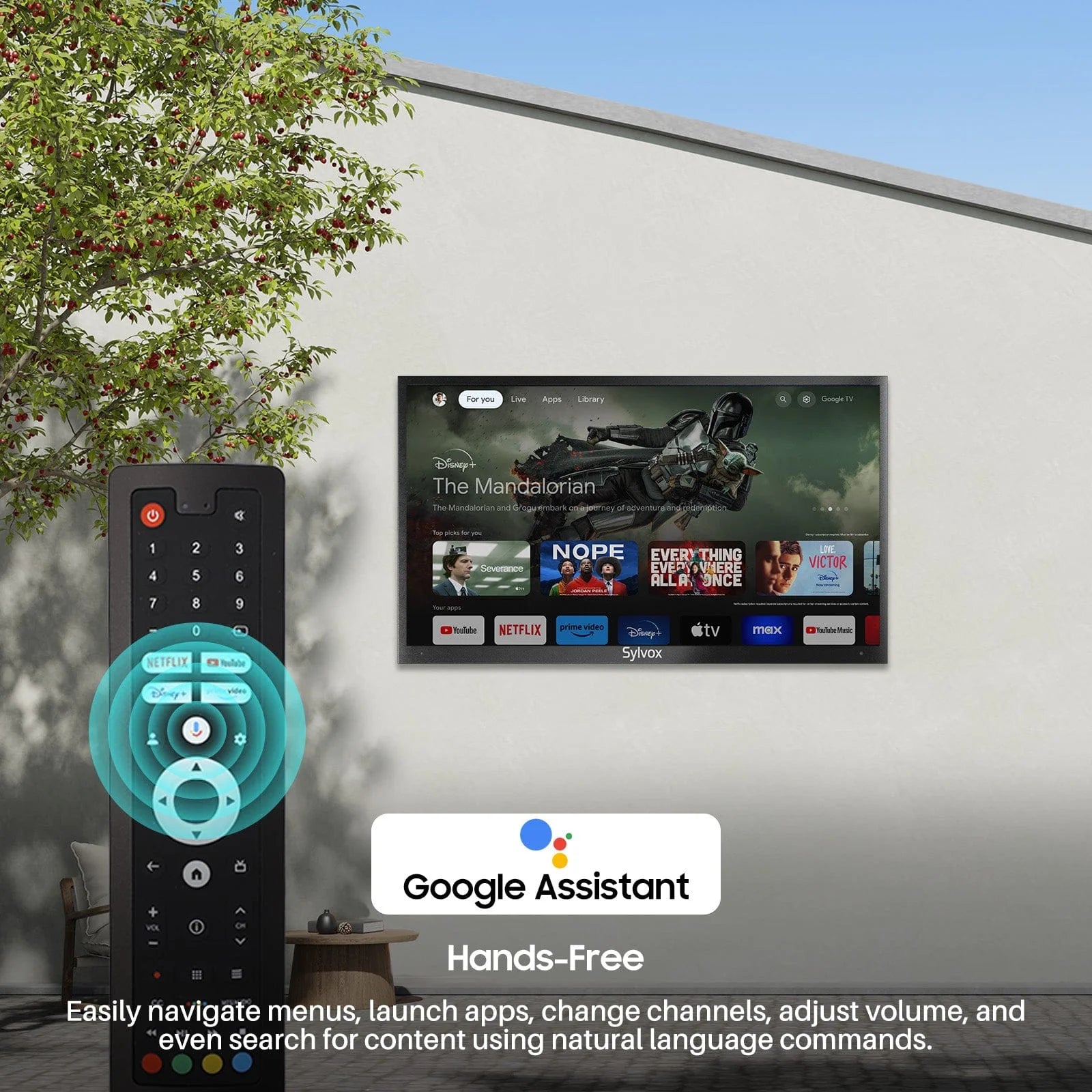 43" Outdoor Tv(Google TV) - 2026 Deck Pro 3.0