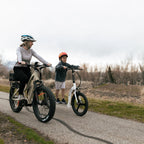 Badger Electric Scooter